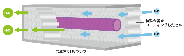 NCCセルの構造